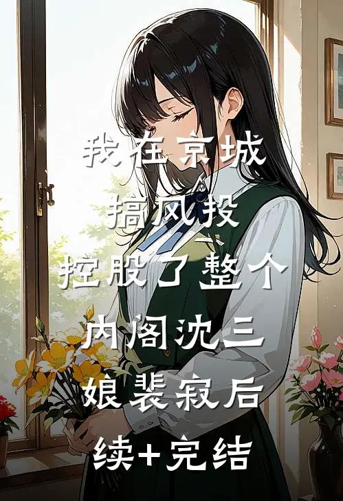 我在京城搞风投，控股了整个内阁沈三娘裴寂后续+完结