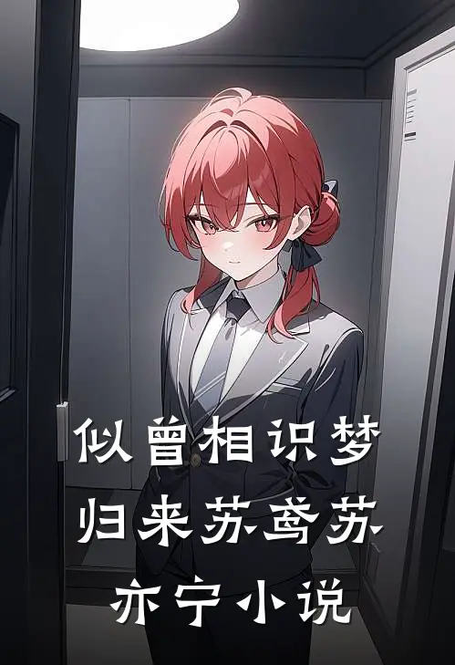 似曾相识梦归来苏鸢苏亦宁小说