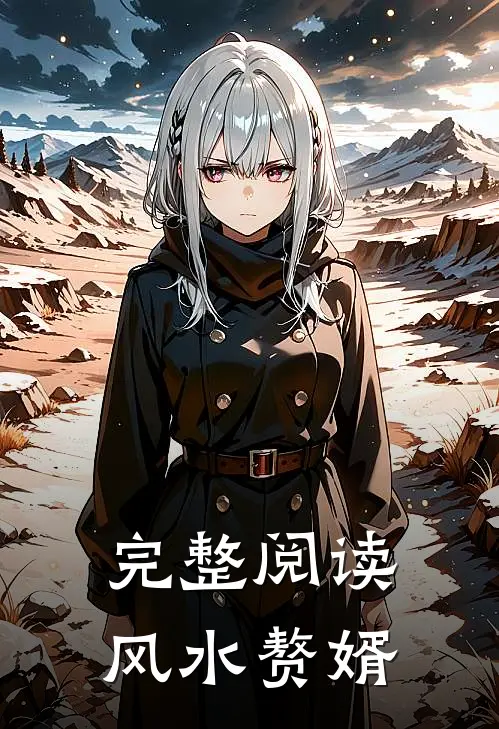 完整阅读风水赘婿