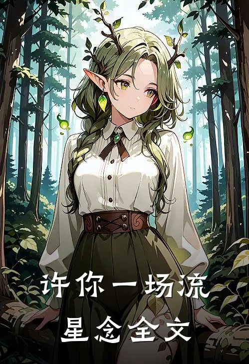 许你一场流星念全文