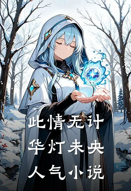 此情无计，华灯未央人气小说