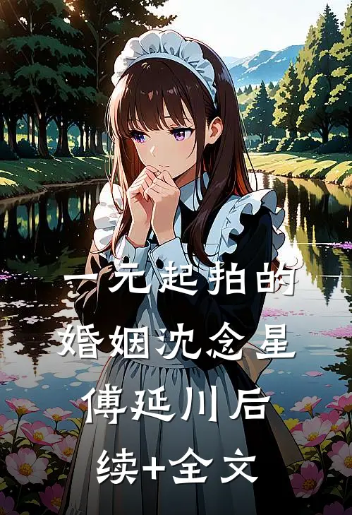 一元起拍的婚姻沈念星傅延川后续+全文