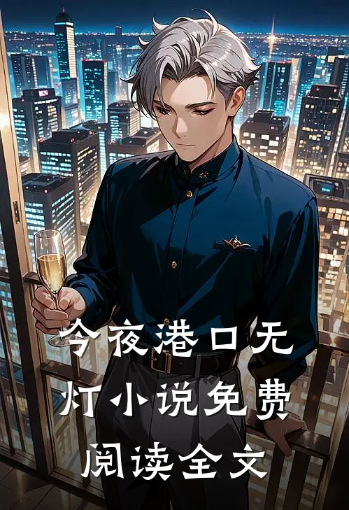今夜港口无灯小说免费阅读全文