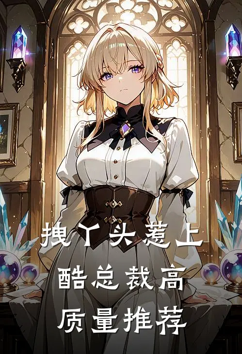 拽丫头惹上酷总裁高质量推荐