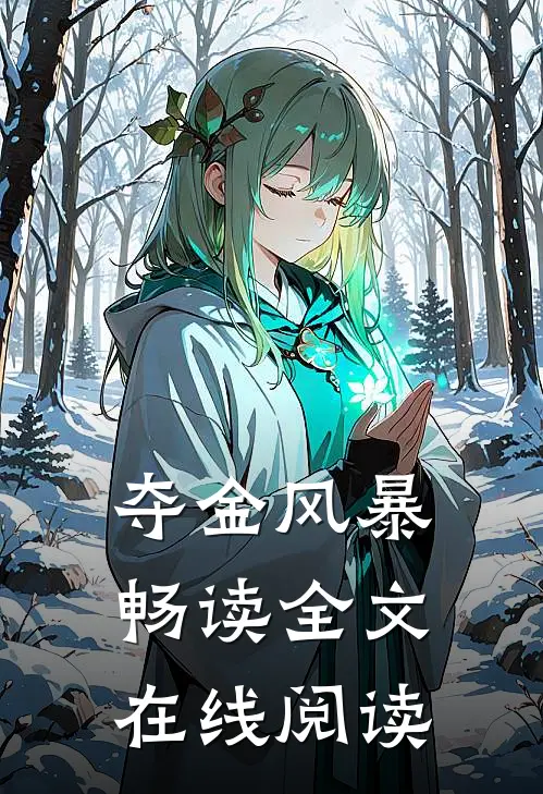 夺金风暴畅读全文在线阅读