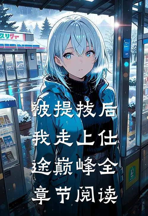 被提拔后，我走上仕途巅峰全章节阅读