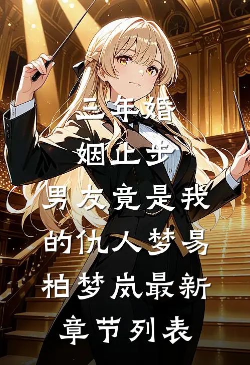 三年婚姻止步，男友竟是我的仇人梦易柏梦岚最新章节列表