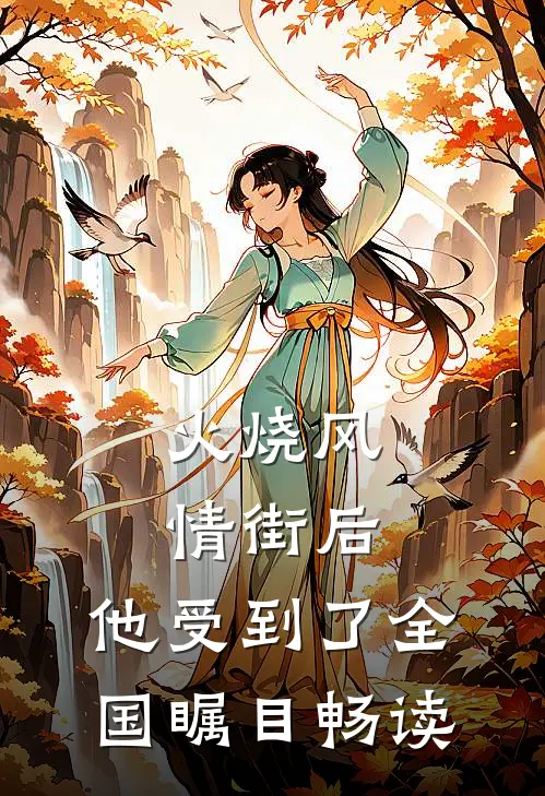 火烧风情街后，他受到了全国瞩目畅读