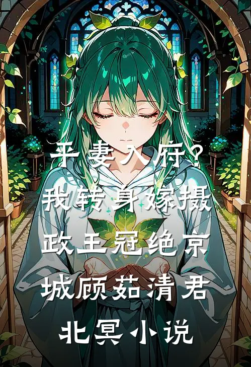 平妻入府？我转身嫁摄政王冠绝京城顾茹清君北冥小说