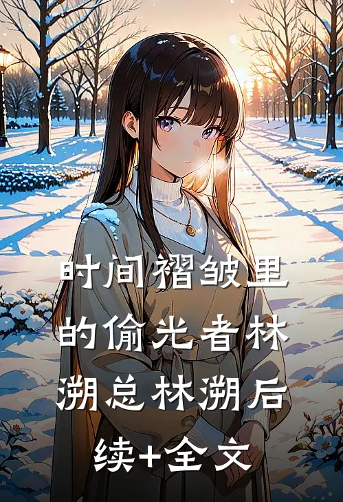 时间褶皱里的偷光者林溯总林溯后续+全文