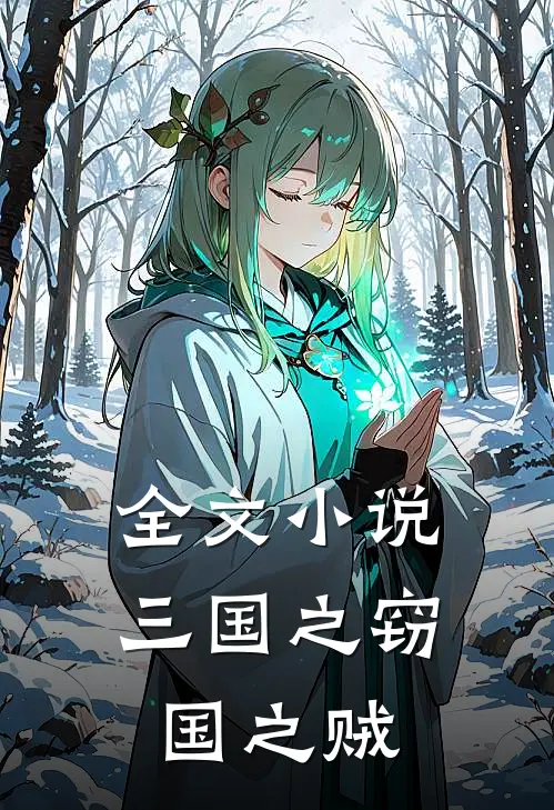 全文小说三国之窃国之贼