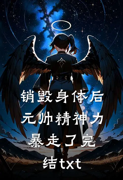 销毁身体后，元帅精神力暴走了完结txt