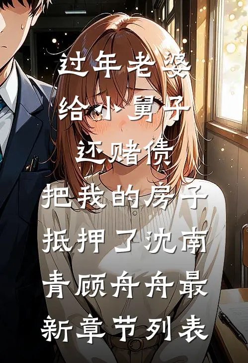 过年老婆给小舅子还赌债，把我的房子抵押了沈南青顾舟舟最新章节列表