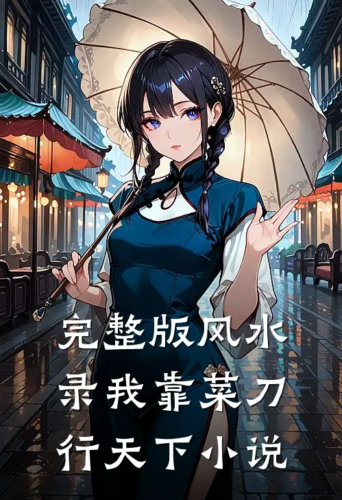 完整版风水录我靠菜刀行天下小说