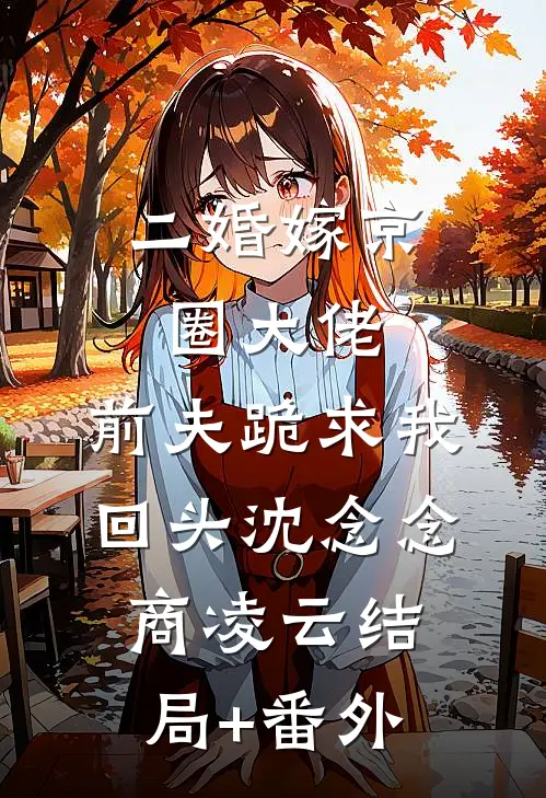 二婚嫁京圈大佬，前夫跪求我回头沈念念商凌云结局+番外