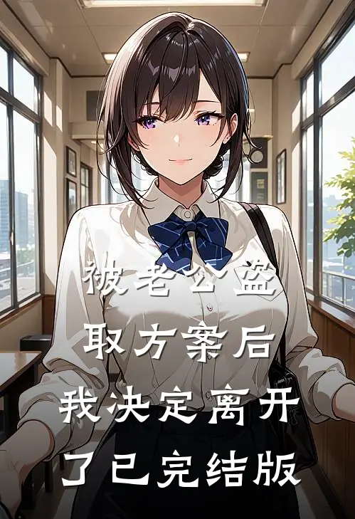 被老公盗取方案后，我决定离开了已完结版