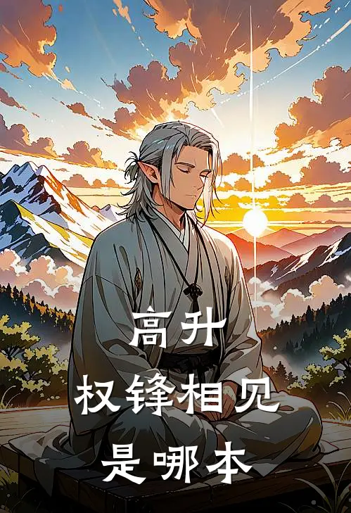 高升：权锋相见是哪本