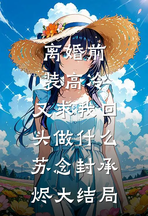 离婚前装高冷，又求我回头做什么苏念封承烬大结局