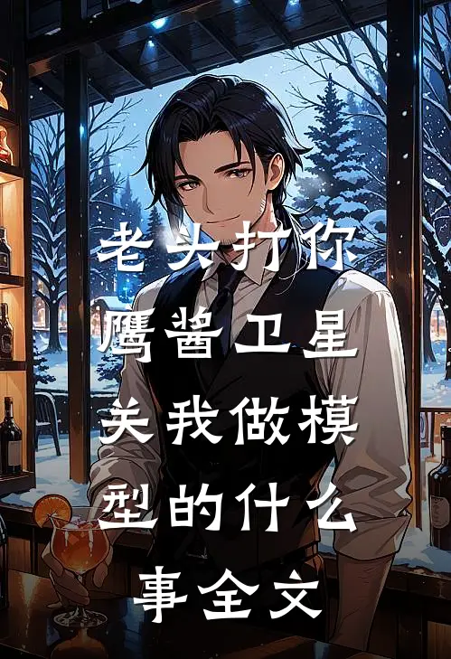 老头打你鹰酱卫星，关我做模型的什么事全文