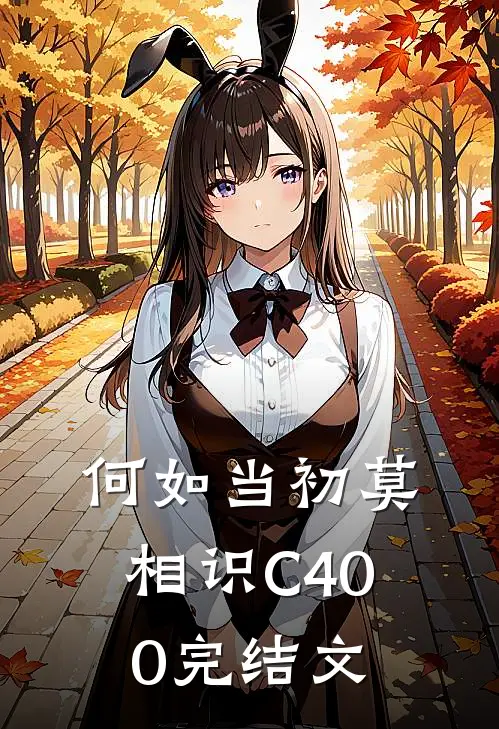 何如当初莫相识C400完结文