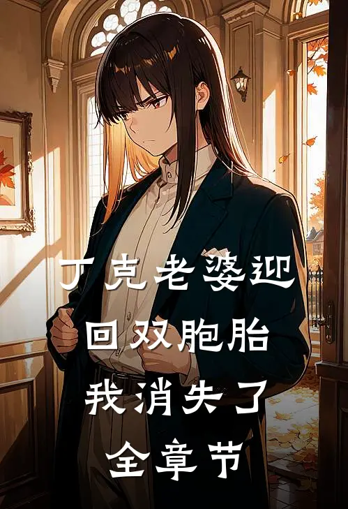 丁克老婆迎回双胞胎，我消失了全章节