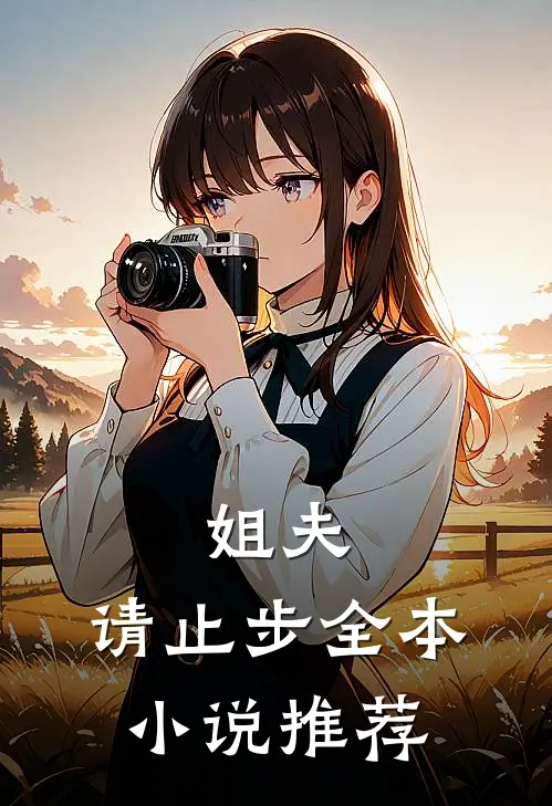 姐夫，请止步全本小说推荐
