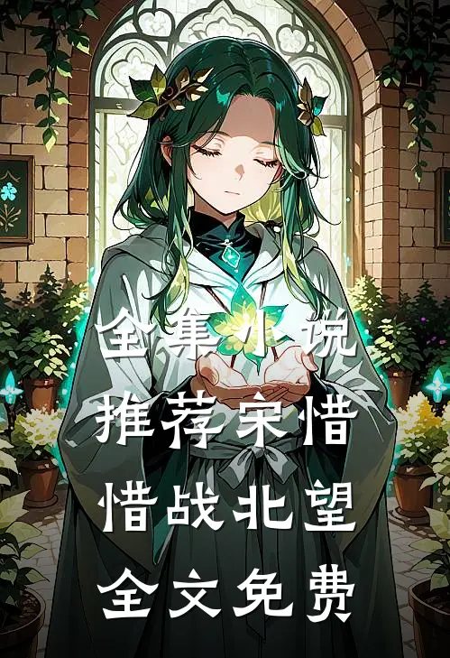 全集小说推荐宋惜惜战北望全文免费