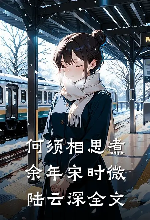 何须相思煮余年宋时微陆云深全文