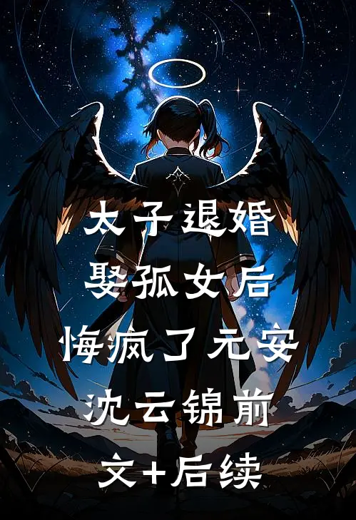 太子退婚娶孤女后，悔疯了元安沈云锦前文+后续