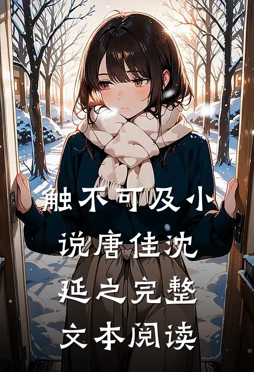 触不可及小说唐佳沈延之完整文本阅读