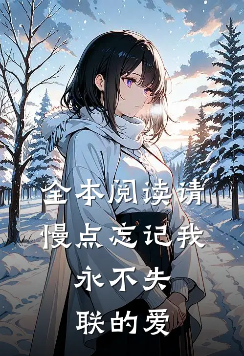 全本阅读请慢点忘记我，永不失联的爱