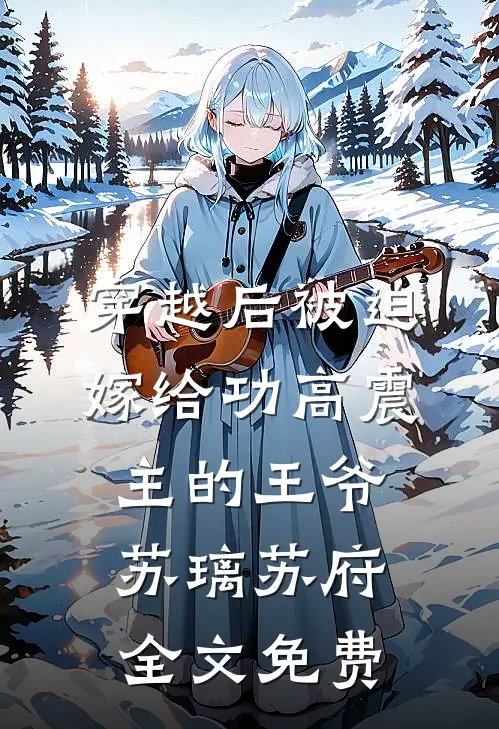 穿越后被迫嫁给功高震主的王爷苏璃苏府全文免费