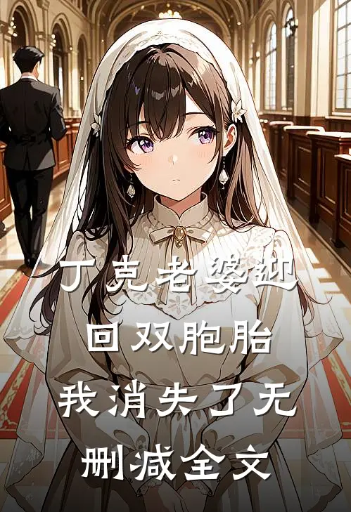 丁克老婆迎回双胞胎，我消失了无删减全文