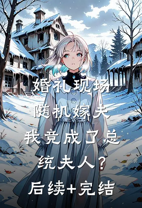 婚礼现场随机嫁夫，我竟成了总统夫人？后续+完结