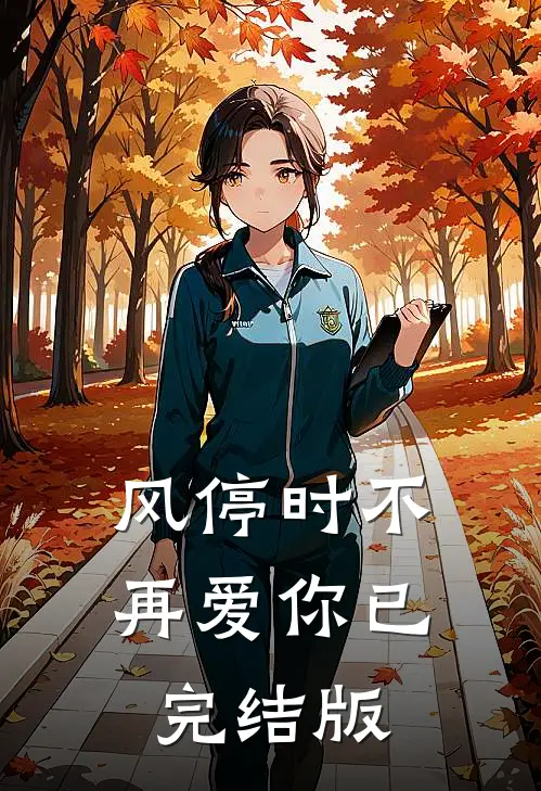 风停时不再爱你已完结版