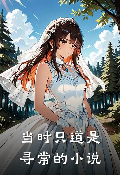 当时只道是寻常的小说