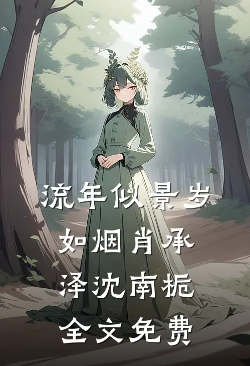 流年似景岁如烟肖承泽沈南栀全文免费