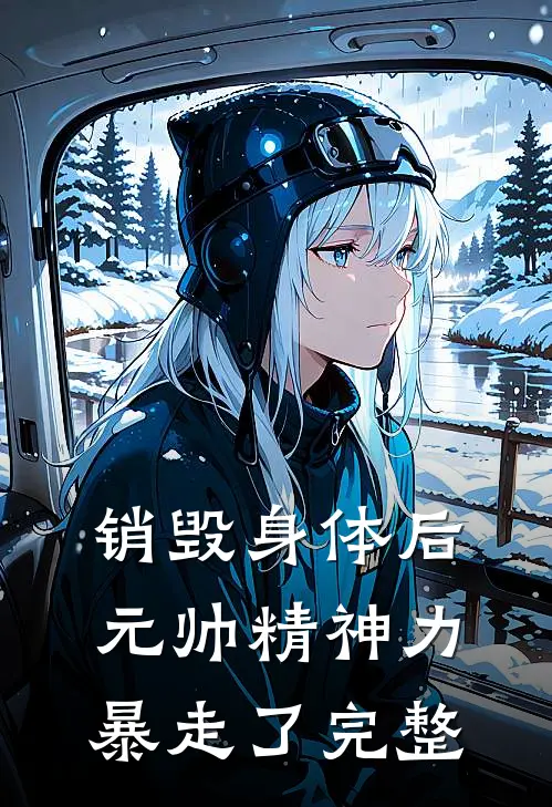 销毁身体后，元帅精神力暴走了完整