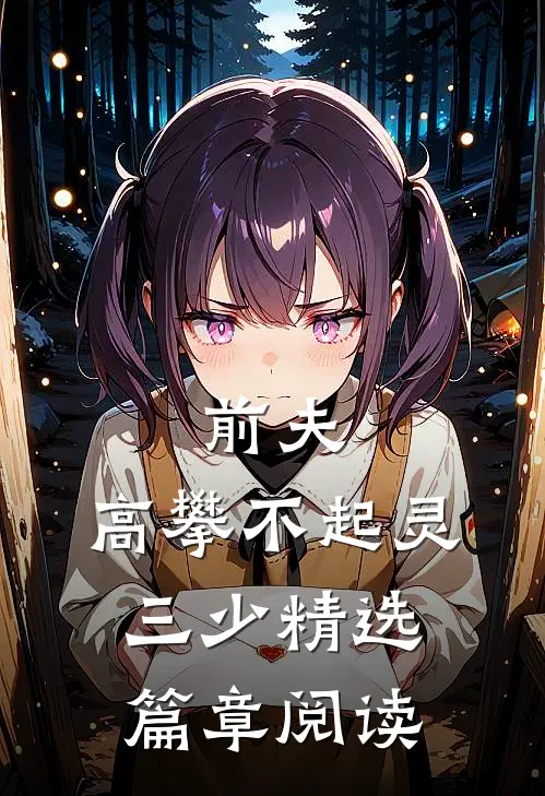 前夫,高攀不起灵三少精选篇章阅读