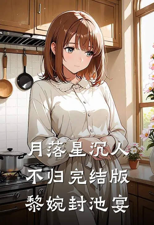 月落星沉人不归完结版黎婉封池宴