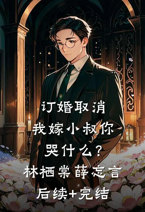 订婚取消，我嫁小叔你哭什么？林栖棠薛忘言后续+完结