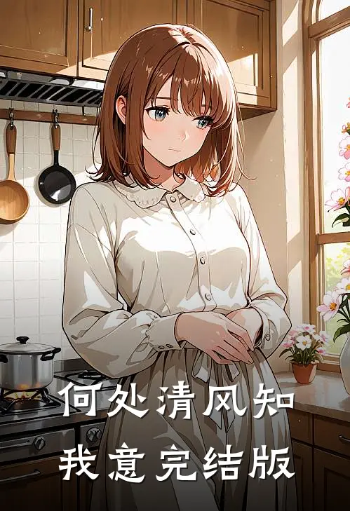 何处清风知我意完结版