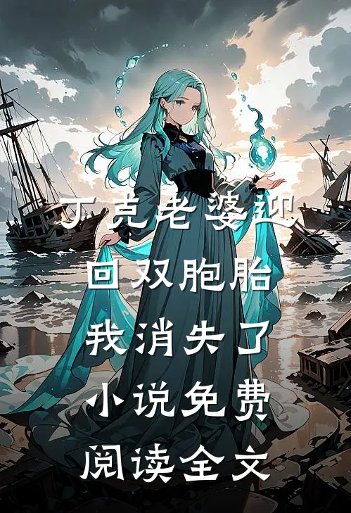 丁克老婆迎回双胞胎，我消失了小说免费阅读全文