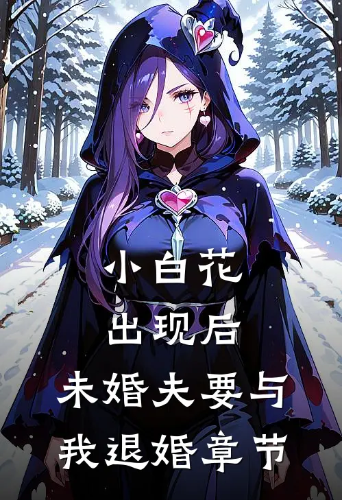 小白花出现后，未婚夫要与我退婚章节