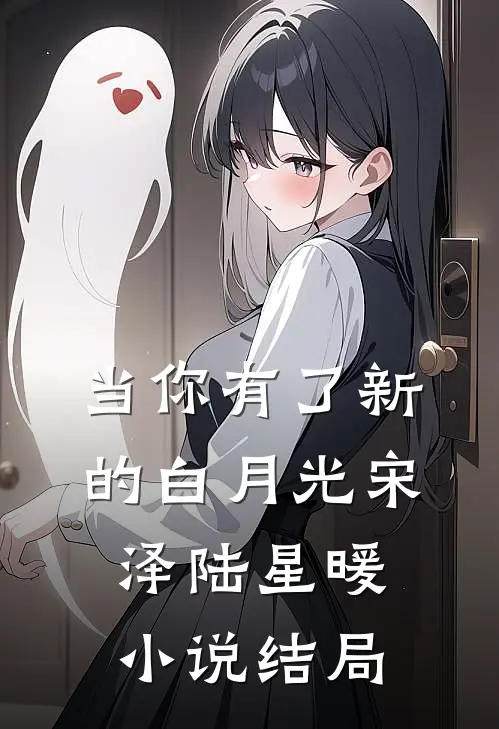 当你有了新的白月光宋泽陆星暖小说结局
