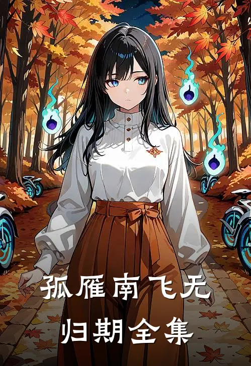 孤雁南飞无归期全集