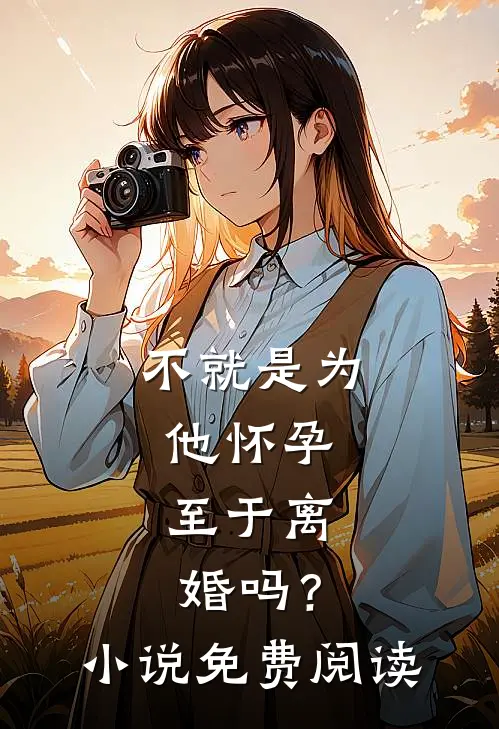 不就是为他怀孕，至于离婚吗？小说免费阅读