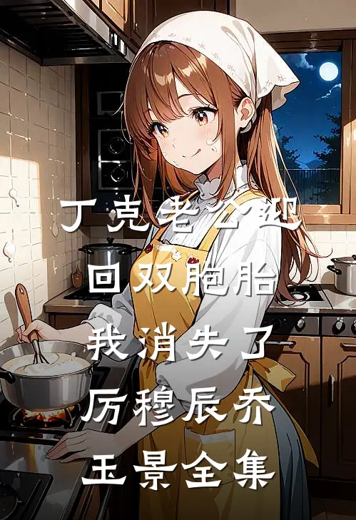 丁克老公迎回双胞胎，我消失了厉穆辰乔玉景全集