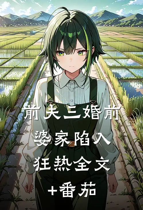 前夫三婚前，婆家陷入狂热全文+番茄