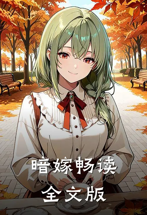 暗嫁畅读全文版
